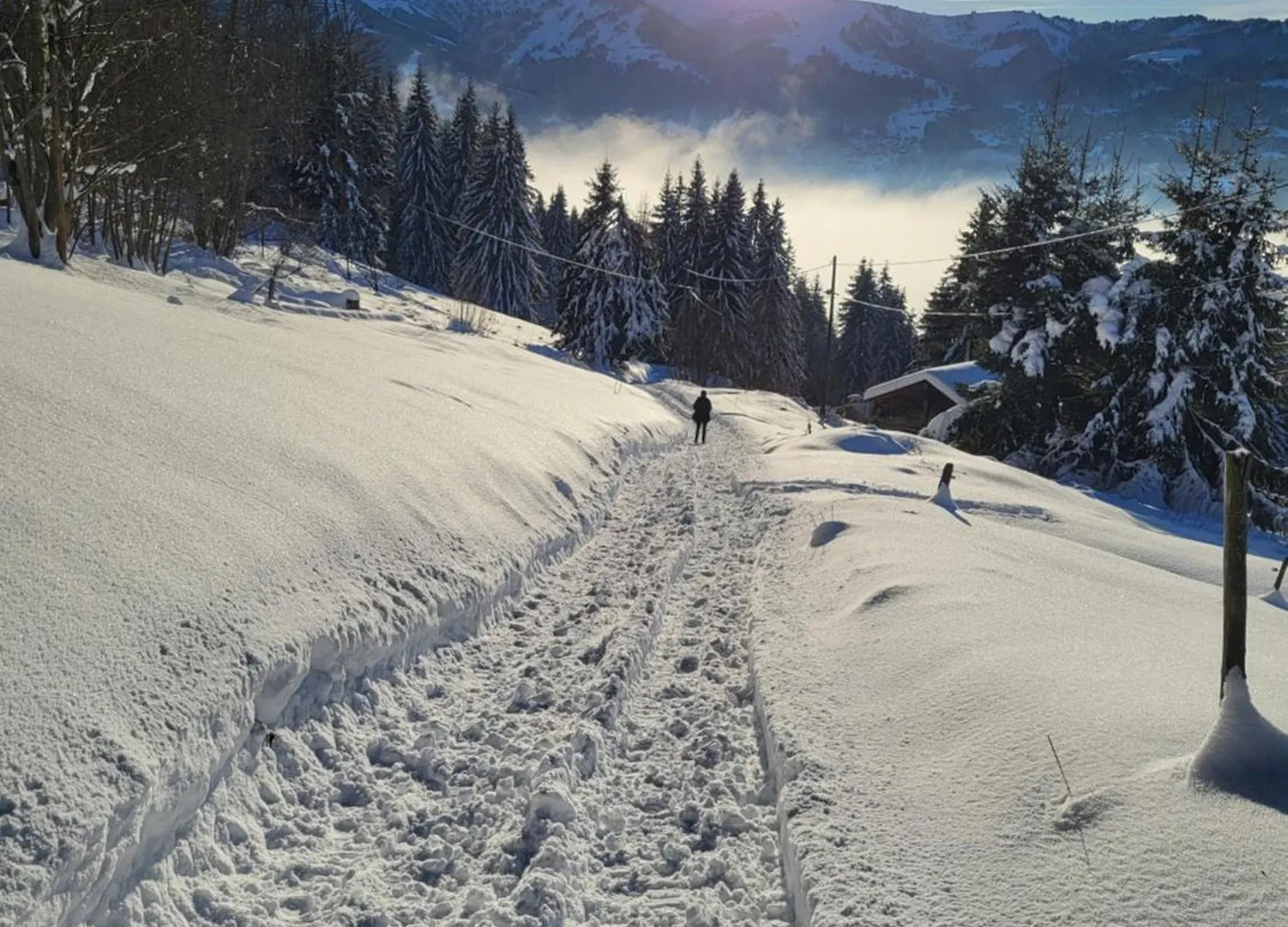 Chalet D'Alpage Avec Vue Incroyable Saint-Gervais-les-Bains 0*,  France
